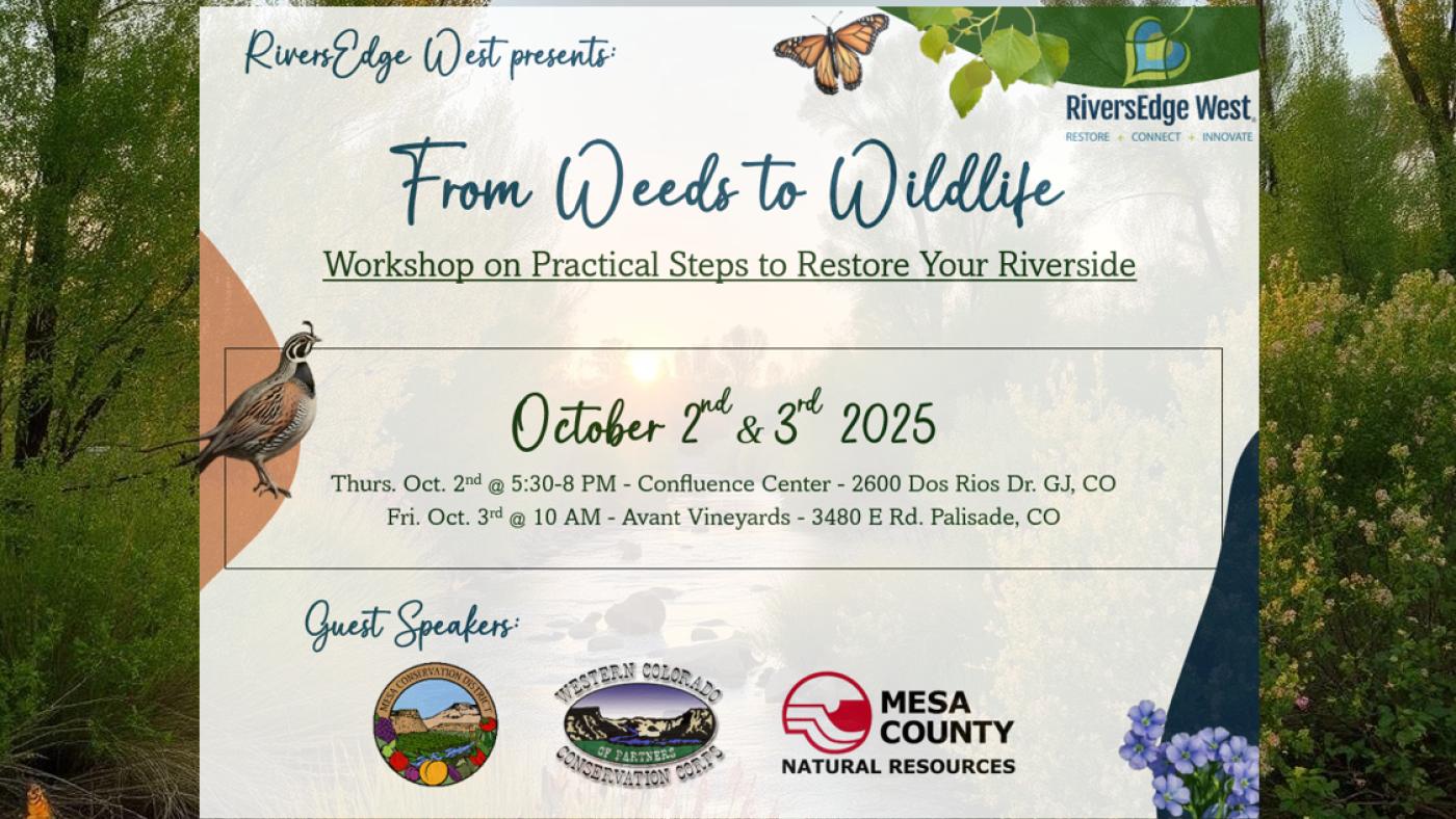 PL workshop flyer CB