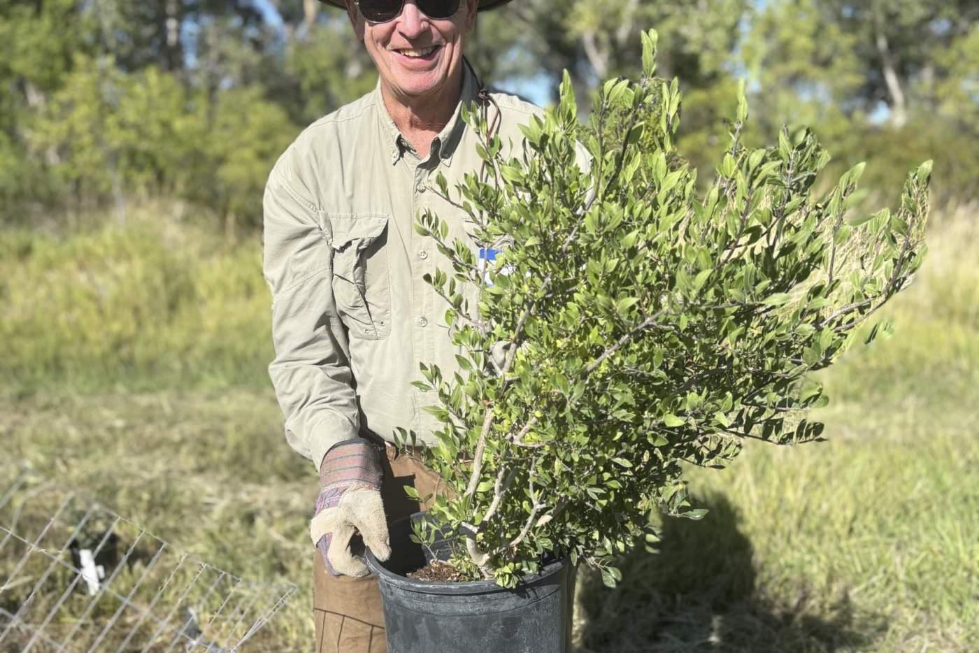 man with native plant