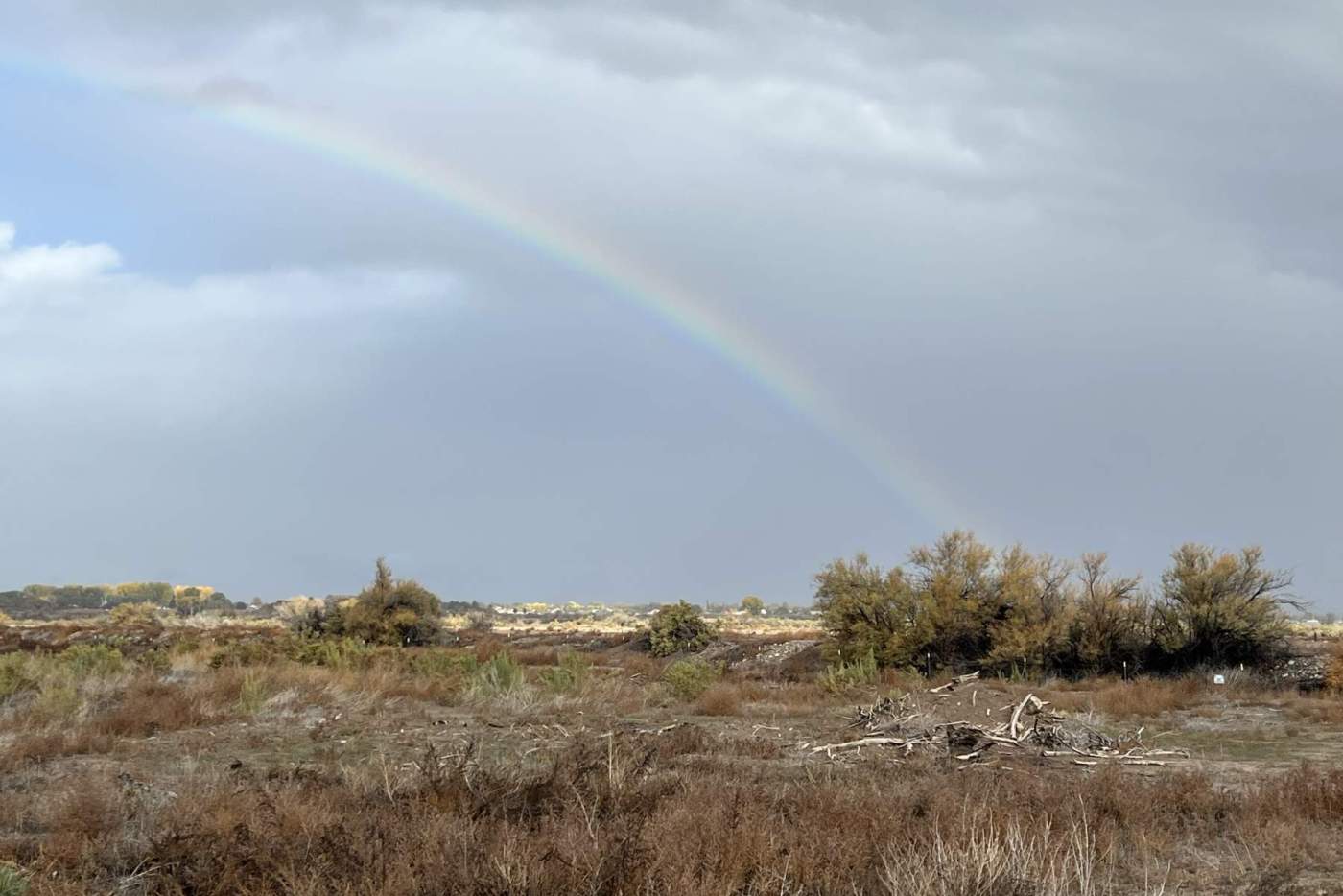 rainbow
