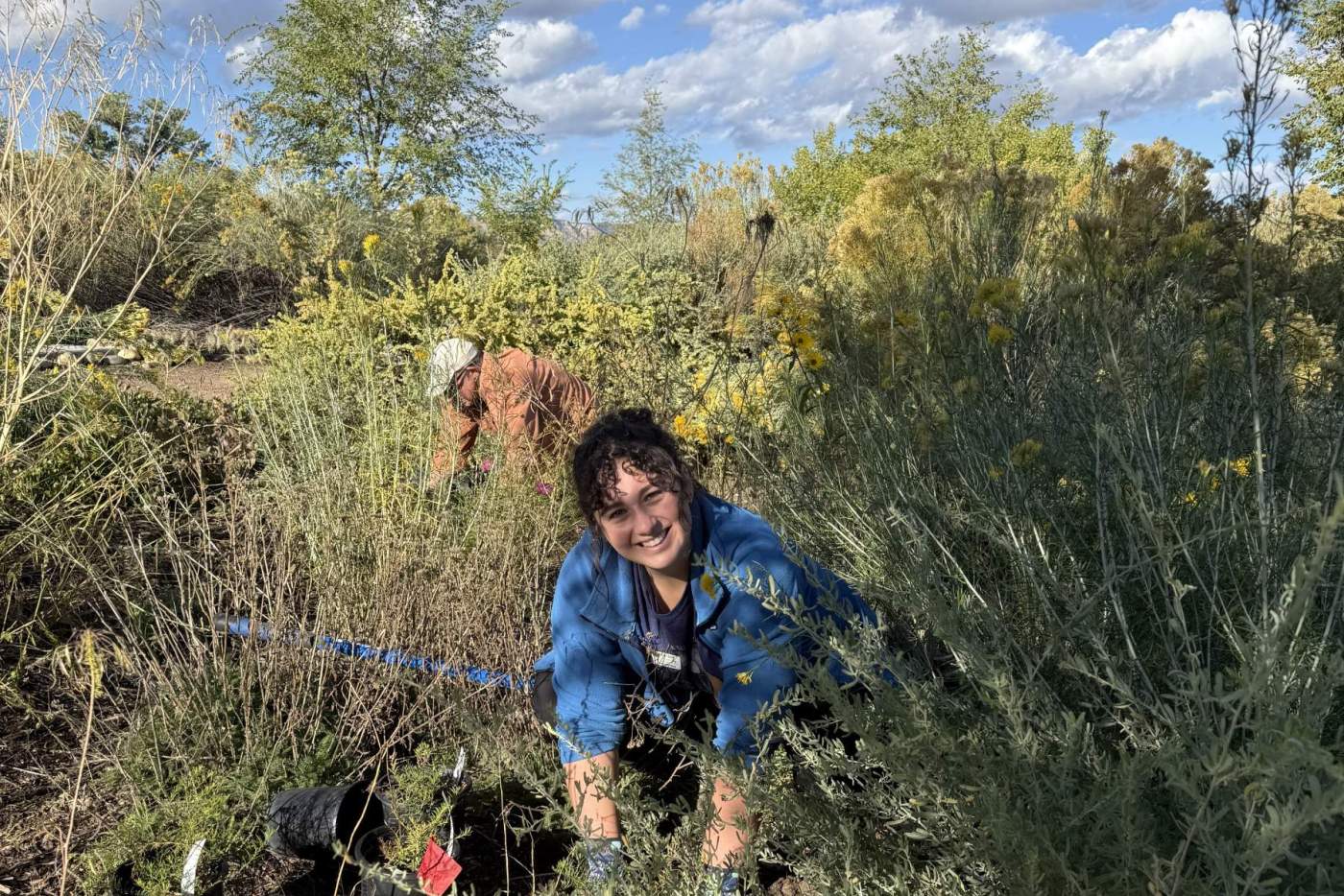 nicole planting