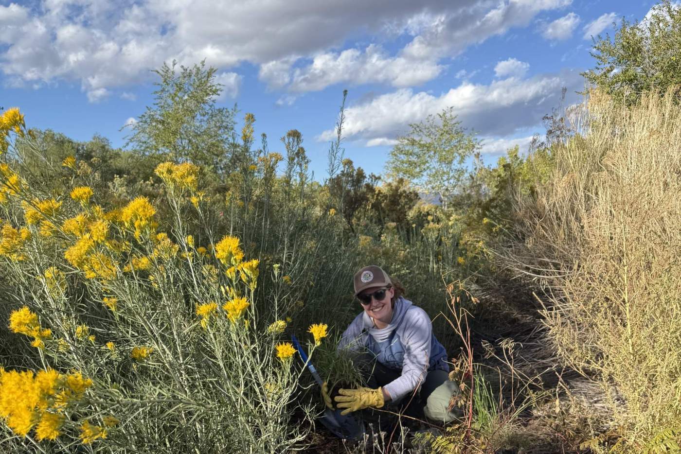 sara planting
