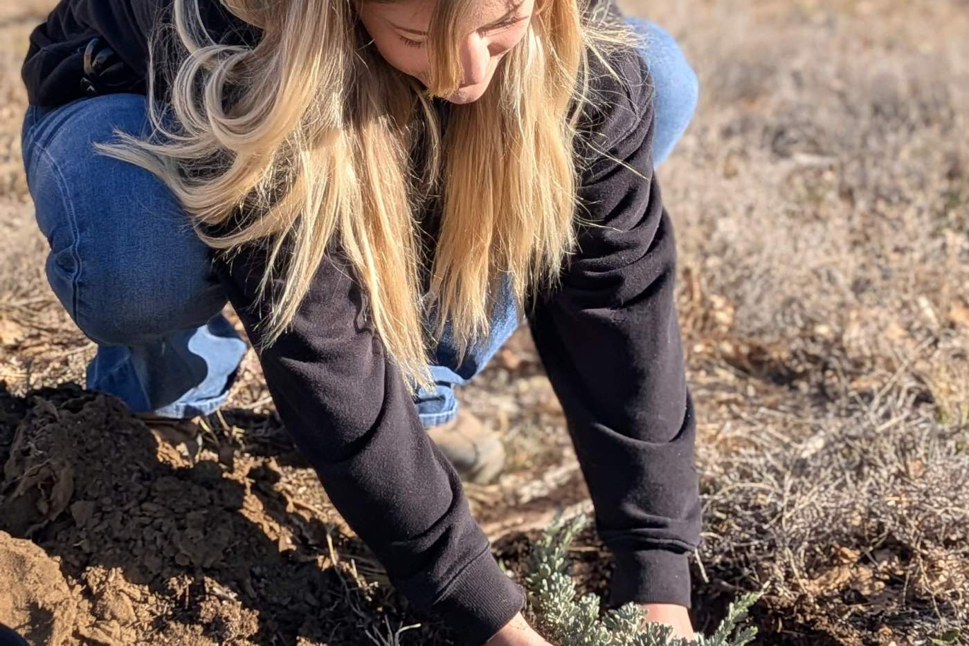 christa planting