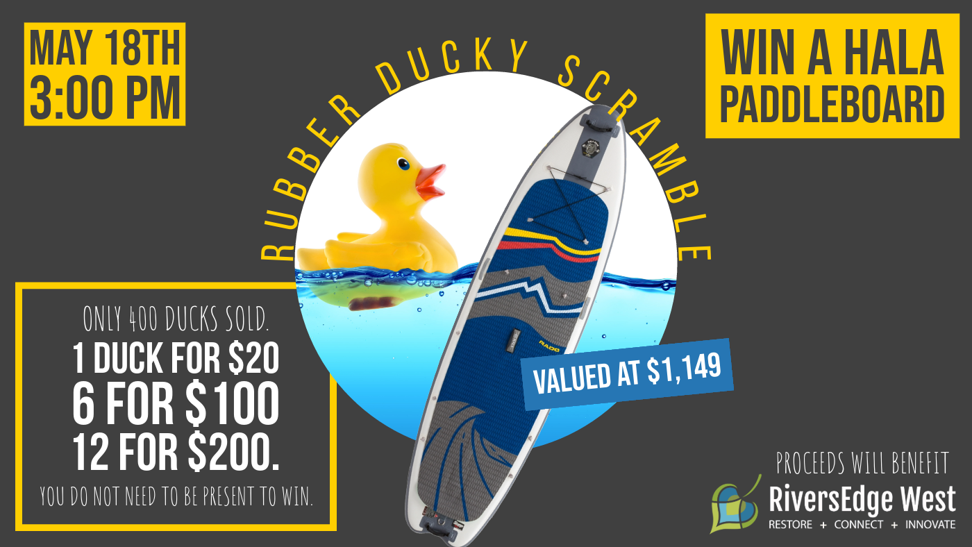 Rubber Ducky Scramble flyer