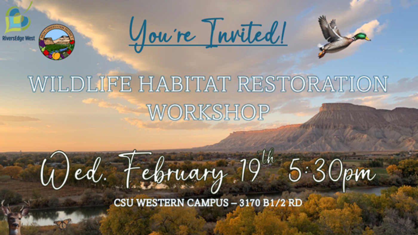 flyer with river, mountain, and wildlife