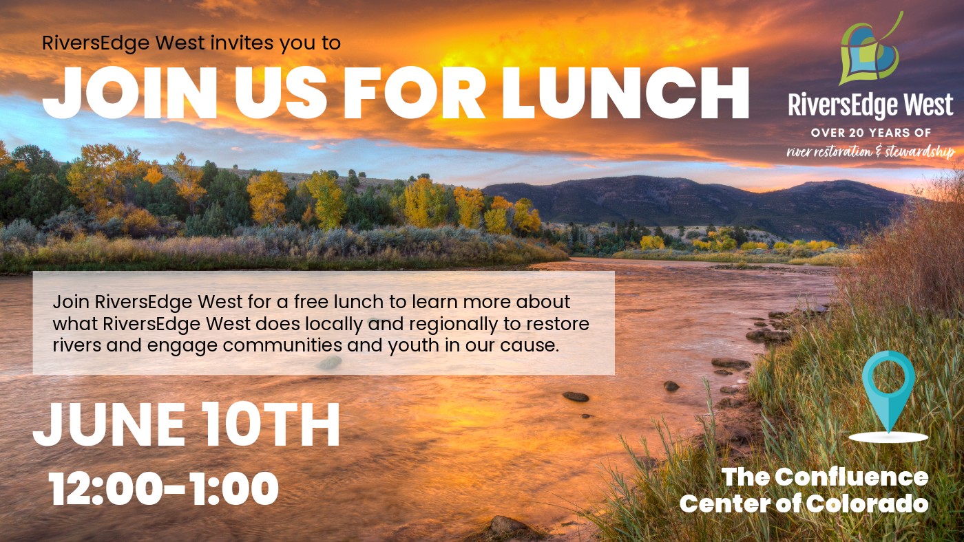 June Lunch and Learn flyer