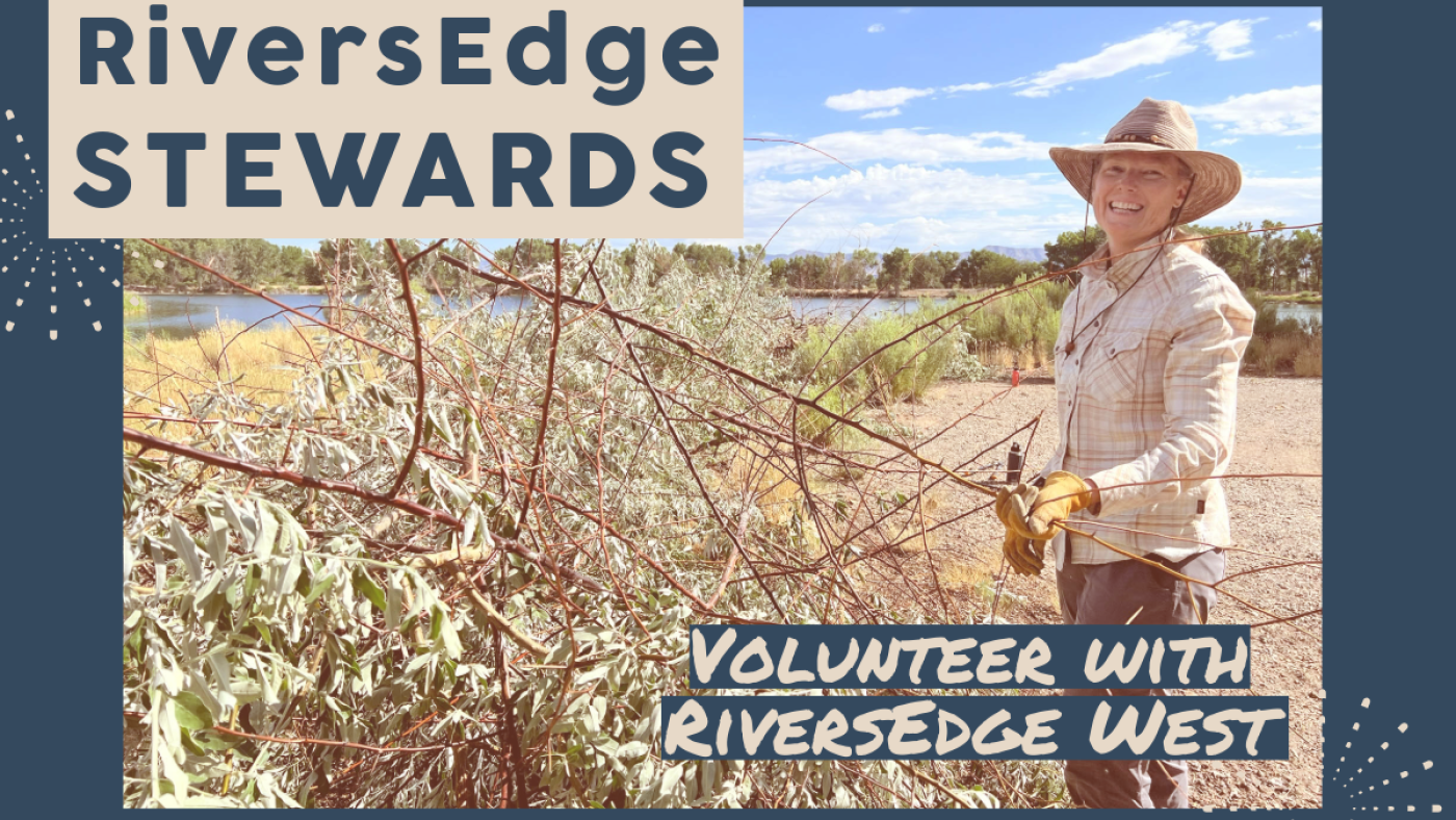 volunteer with REW sephia