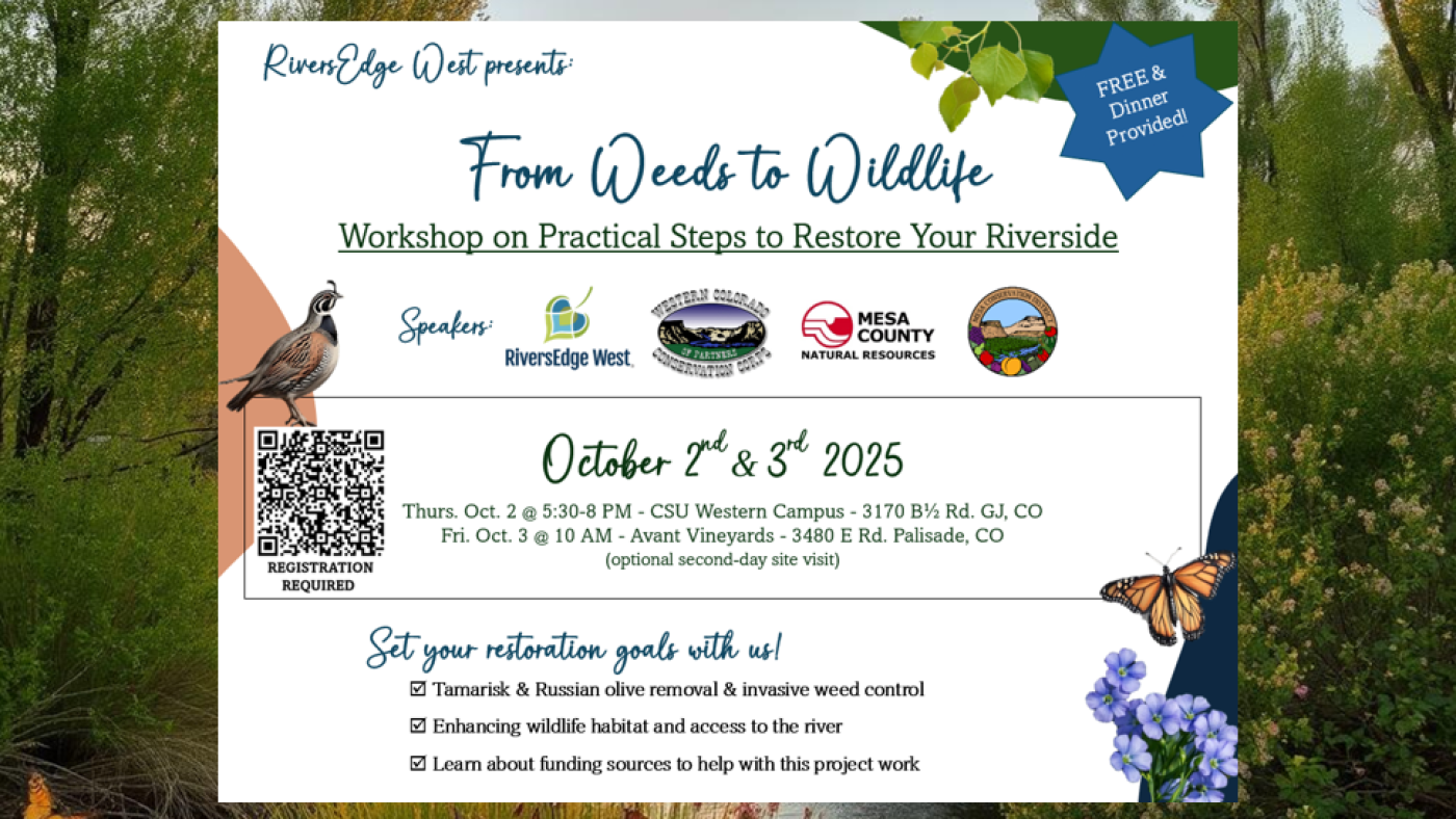workshop event photo october 2025