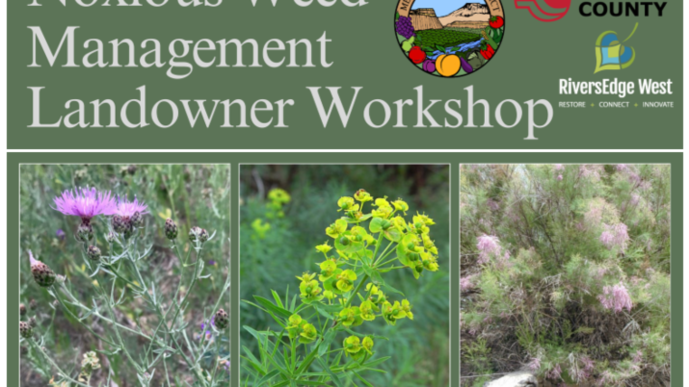 MCD 2026 workshop flyer