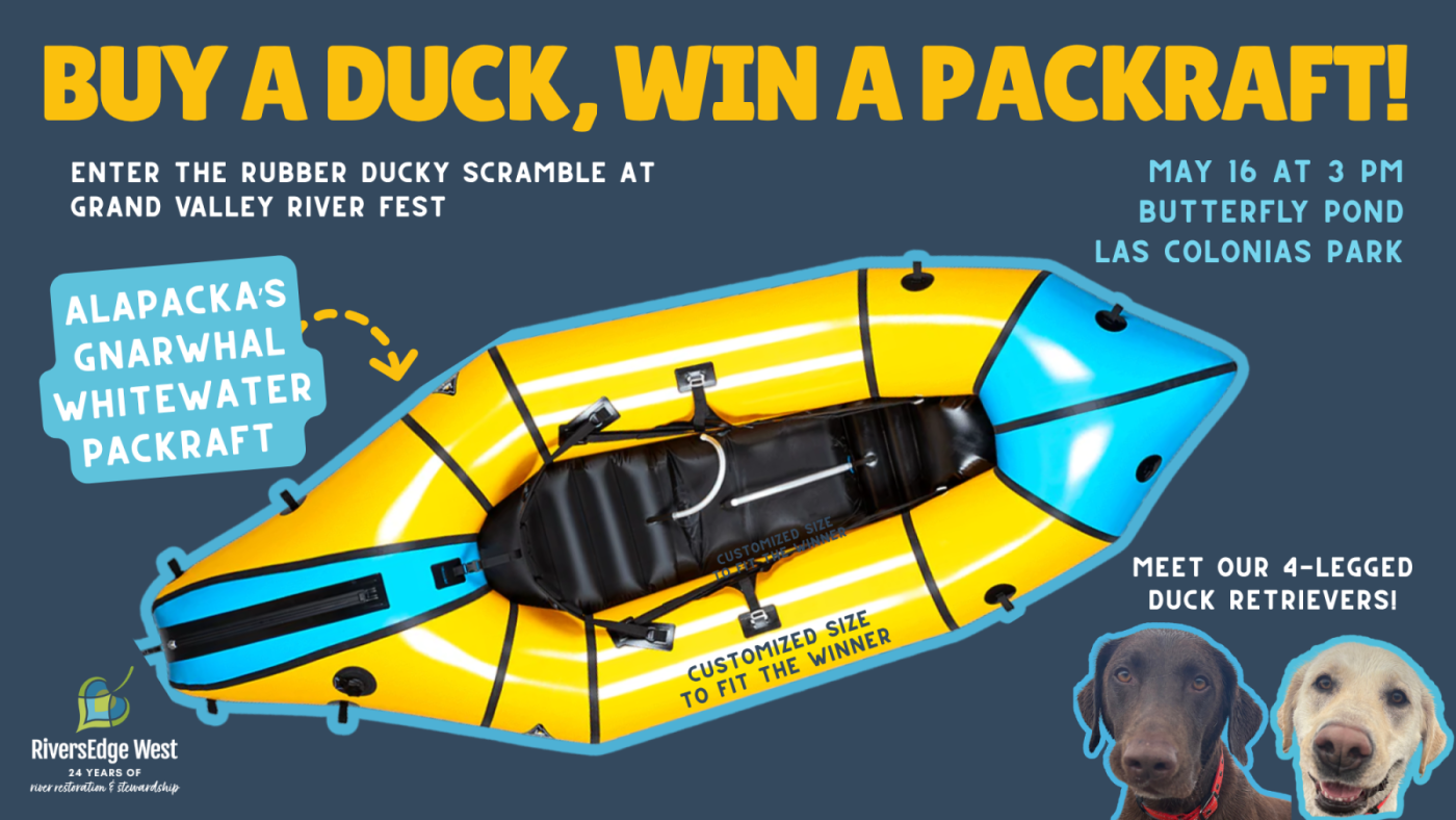 ducky flyer with dogs