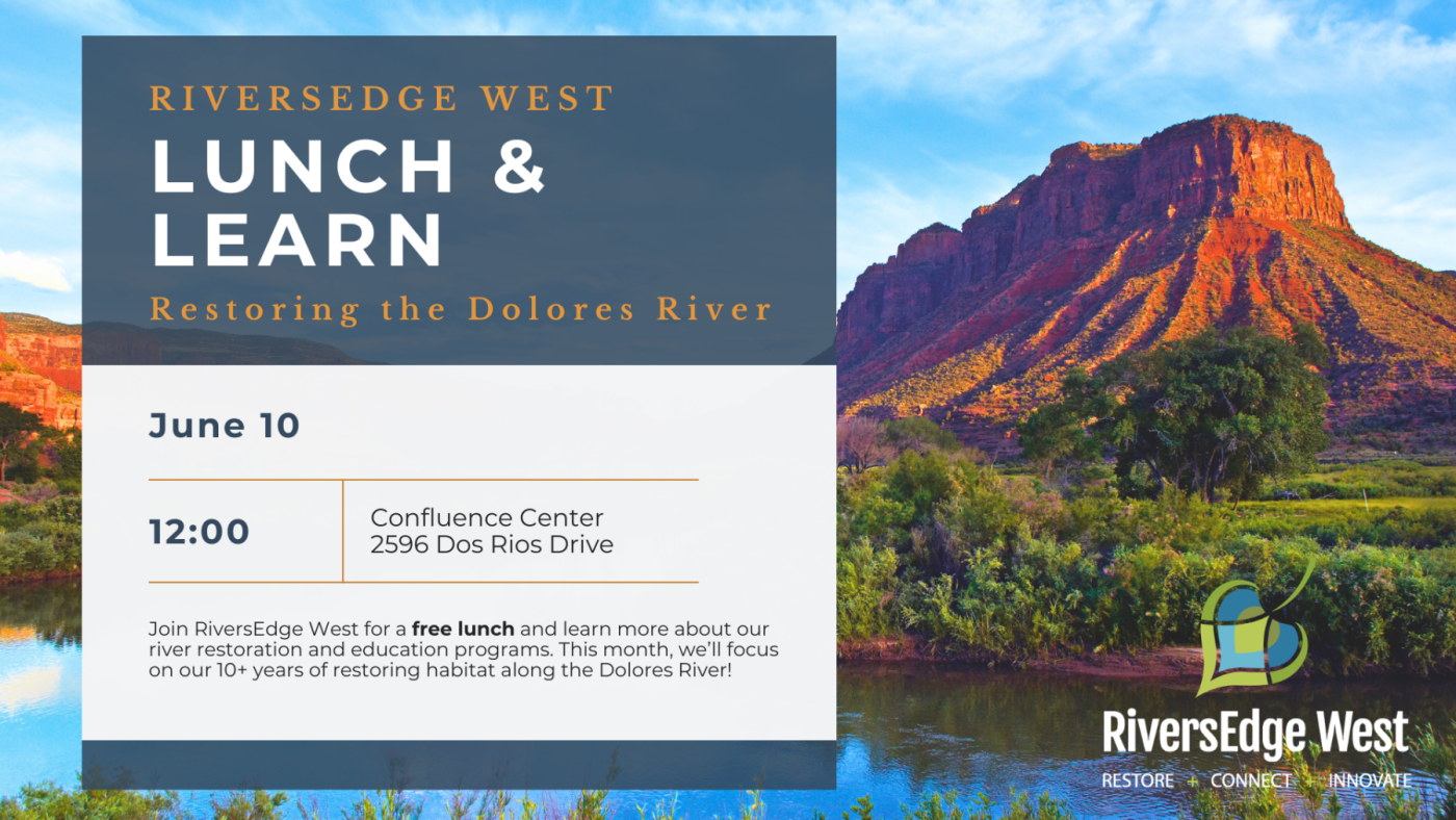 June 2026 Lunch and Learn flyer